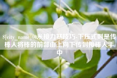 陇南60米接力赛技巧-下压式则是传棒人将棒的前部由上向下传到接棒人手中