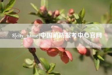 陇南中国消防报考中心官网