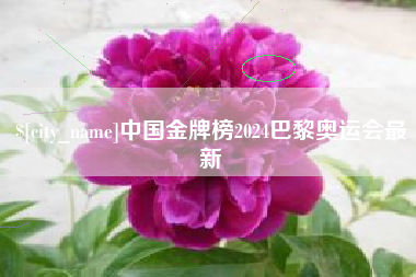陇南中国金牌榜2024巴黎奥运会最新