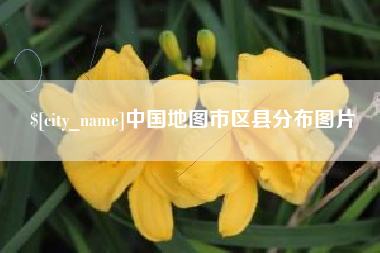 陇南中国地图市区县分布图片