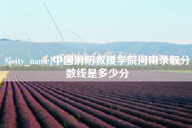 陇南中国消防救援学院河南录取分数线是多少分