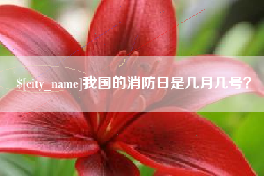陇南我国的消防日是几月几号？