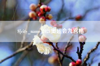陇南2021奥运会九宫格