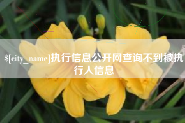 陇南执行信息公开网查询不到被执行人信息