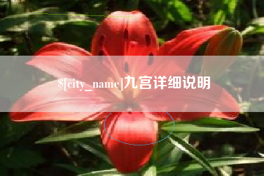 陇南九宫详细说明