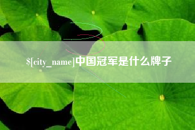 陇南中国冠军是什么牌子