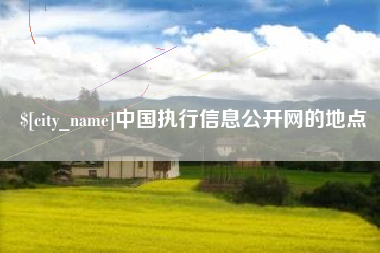 陇南中国执行信息公开网的地点