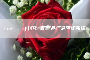 陇南中国消防产品信息查询系统1