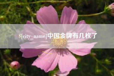陇南中国金牌有几枚了
