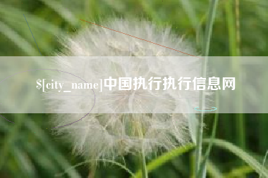 陇南中国执行执行信息网