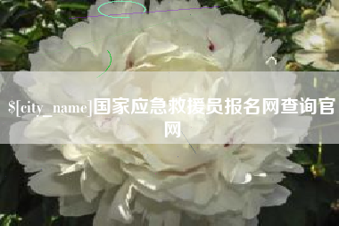 陇南国家应急救援员报名网查询官网