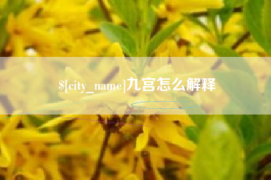 陇南九宫怎么解释