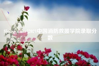 陇南2021中国消防救援学院录取分数