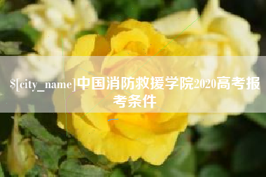 陇南中国消防救援学院2020高考报考条件
