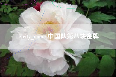 陇南中国队第八块金牌