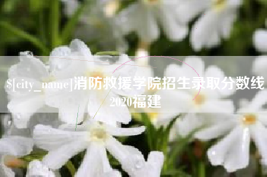 陇南消防救援学院招生录取分数线2020福建