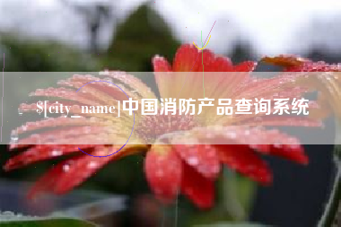 陇南中国消防产品查询系统