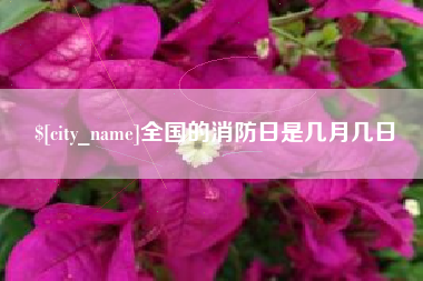 陇南全国的消防日是几月几日
