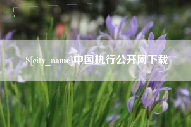 陇南中国执行公开网下载