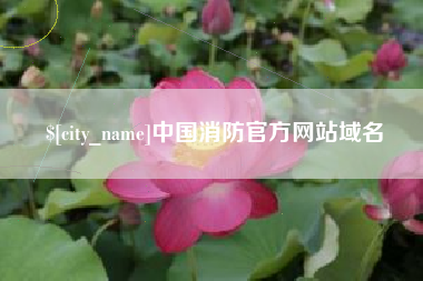陇南中国消防官方网站域名