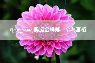 陇南奥运金牌第二个九宫格