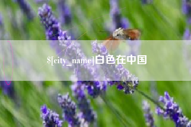 陇南白色在中国