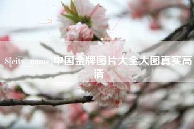 陇南中国金牌图片大全大图真实高清