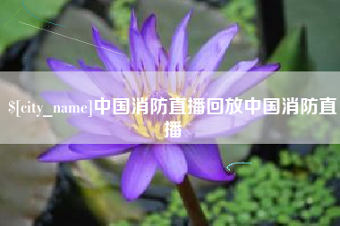 陇南中国消防直播回放中国消防直播