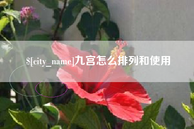 陇南九宫怎么排列和使用