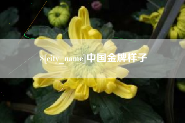 陇南中国金牌样子