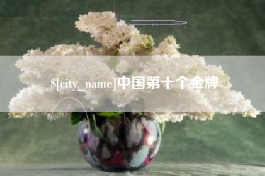 陇南中国第十个金牌