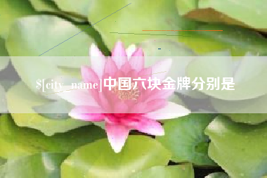 陇南中国六块金牌分别是