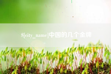 陇南中国的几个金牌