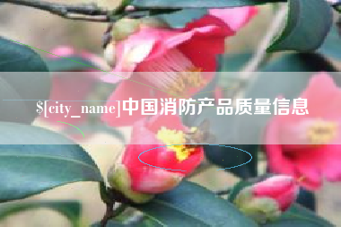 陇南中国消防产品质量信息