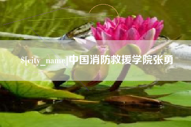 陇南中国消防救援学院张勇