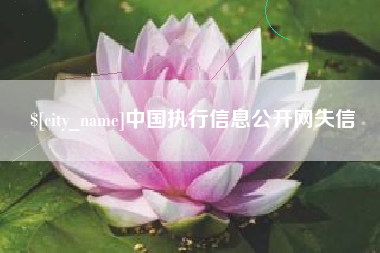 陇南中国执行信息公开网失信