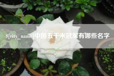 陇南中国五千米冠军有哪些名字