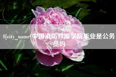 陇南中国消防救援学院毕业是公务员吗