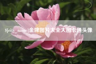 陇南金牌图片大全大图卡通头像