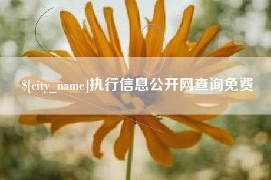 陇南执行信息公开网查询免费